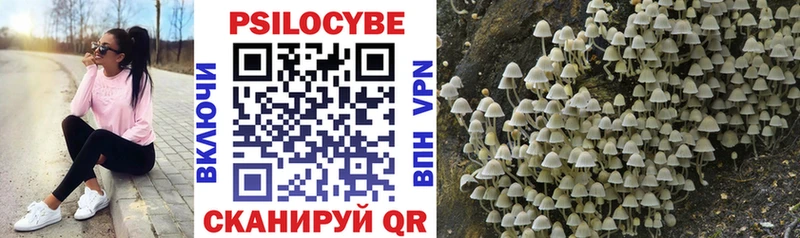 Псилоцибиновые грибы Cubensis  блэк спрут вход  Карпинск  где продают наркотики 