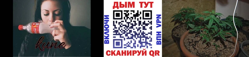 сколько стоит  Карпинск  Бошки Шишки гибрид 